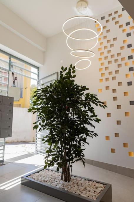 Superb Central Lisbon Apartment Εξωτερικό φωτογραφία